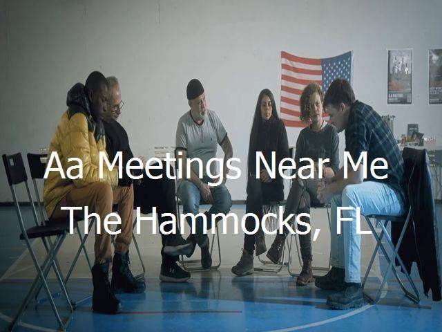 AA Meetings Near Me in The Hammocks, FL