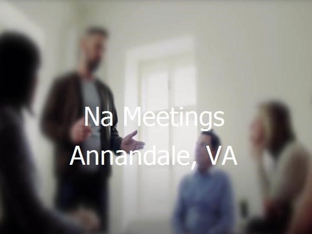 NA Meetings in Annandale